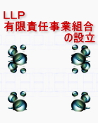 �k�k�o�@�L���ӔC���Ƒg���ݗ�